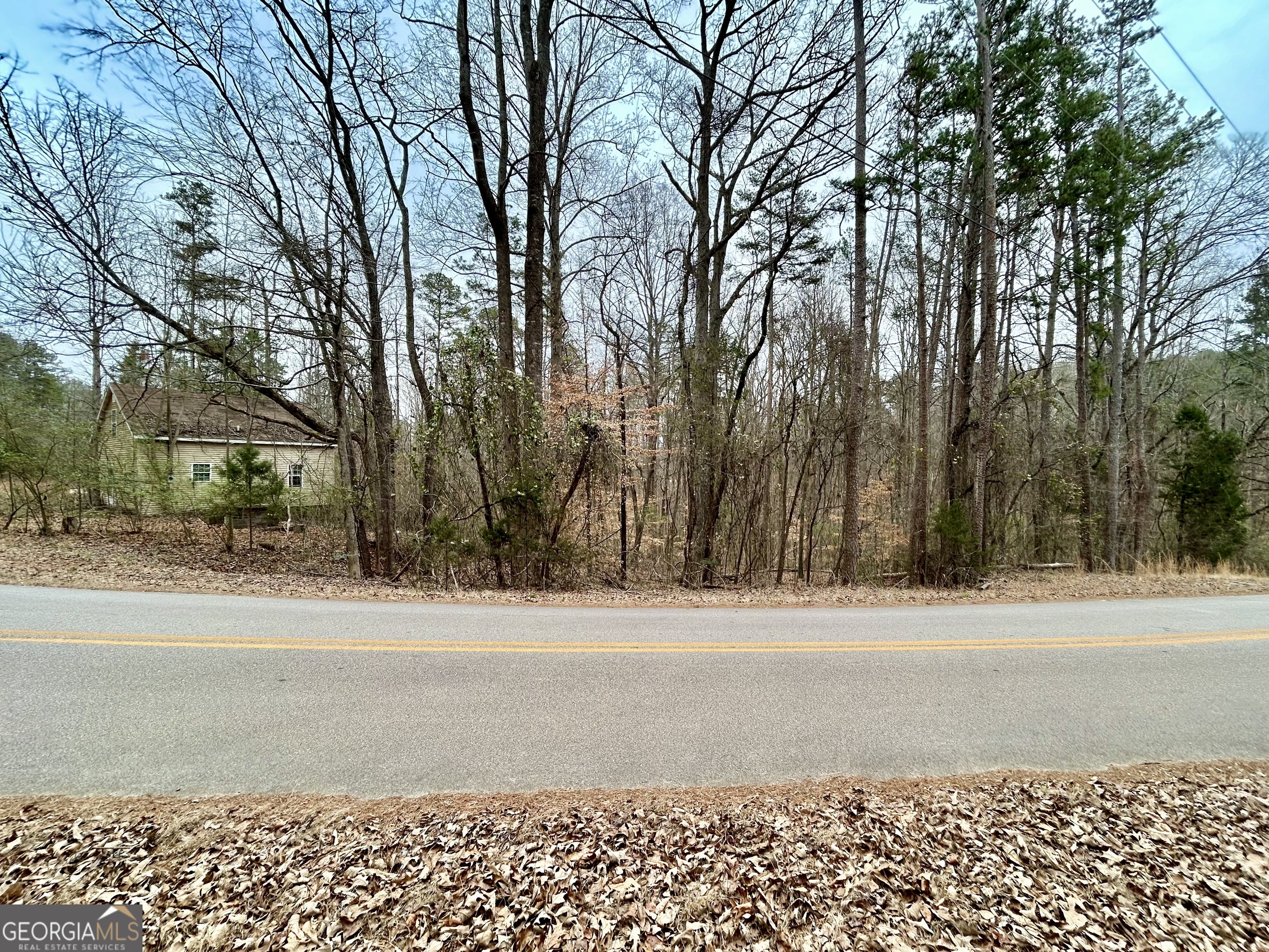 0 Lakeshore Road Martin, GA 30557 - Photo 3 of 12