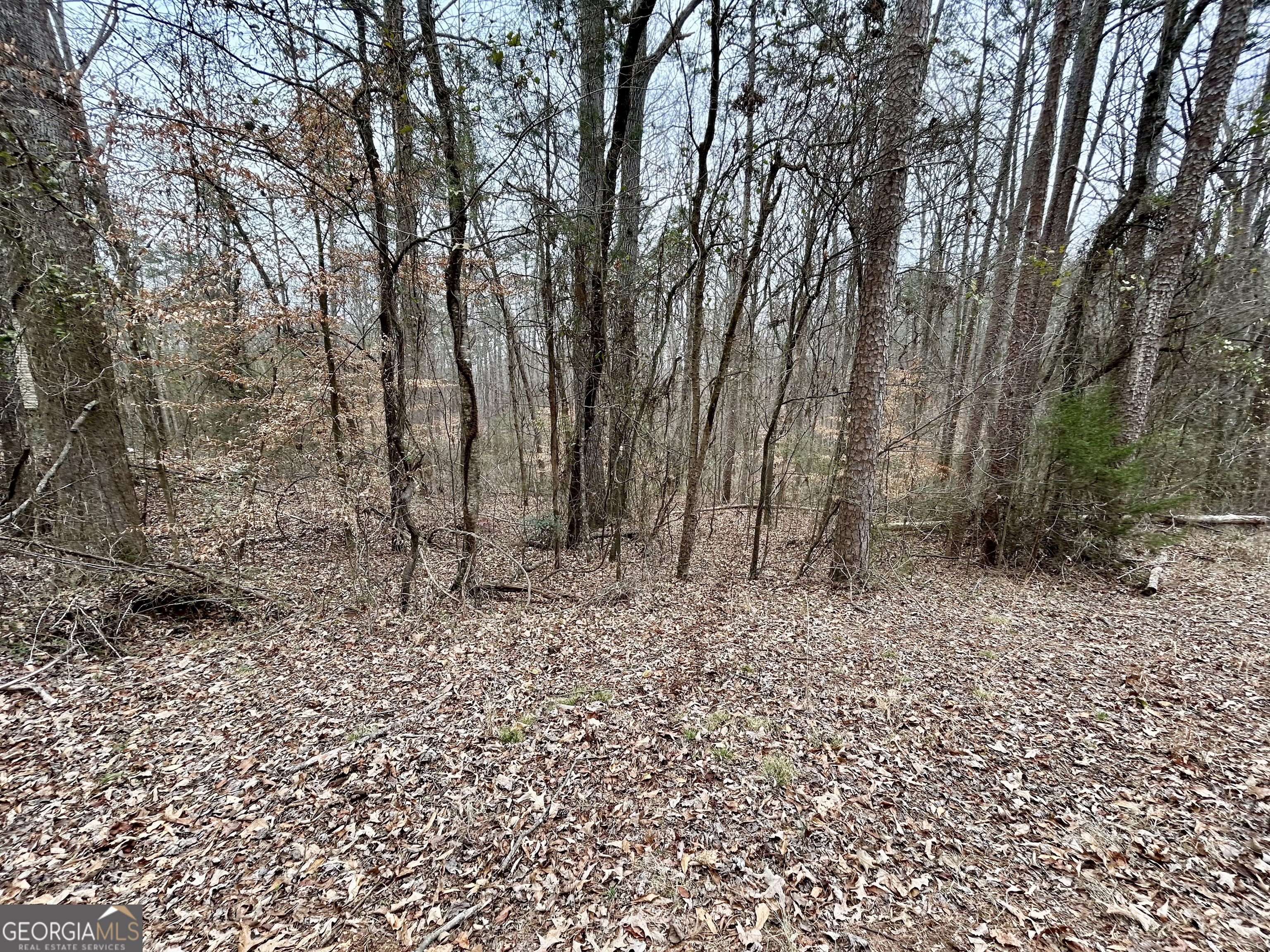 0 Lakeshore Road Martin, GA 30557 - Photo 4 of 12