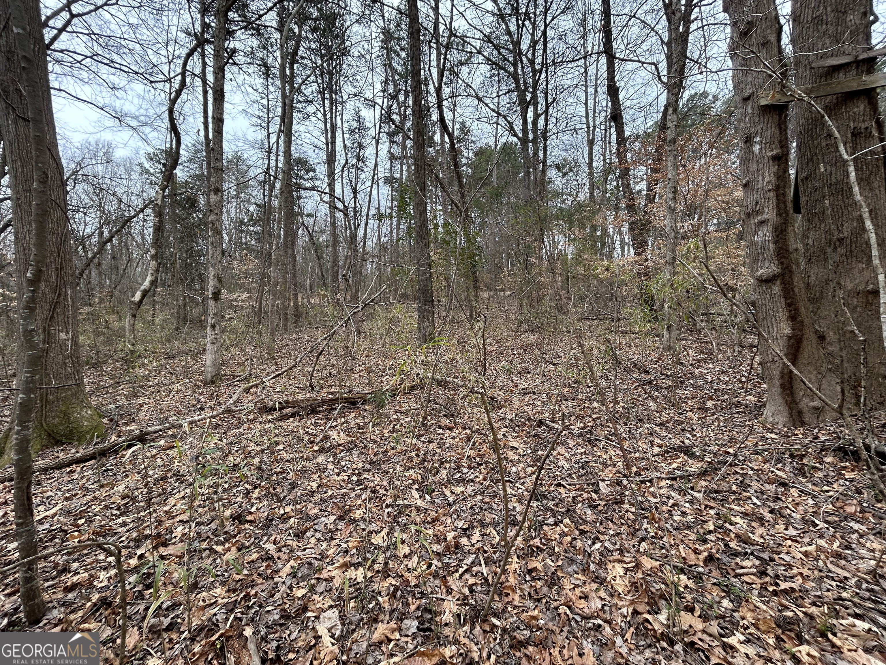 0 Lakeshore Road Martin, GA 30557 - Photo 5 of 12