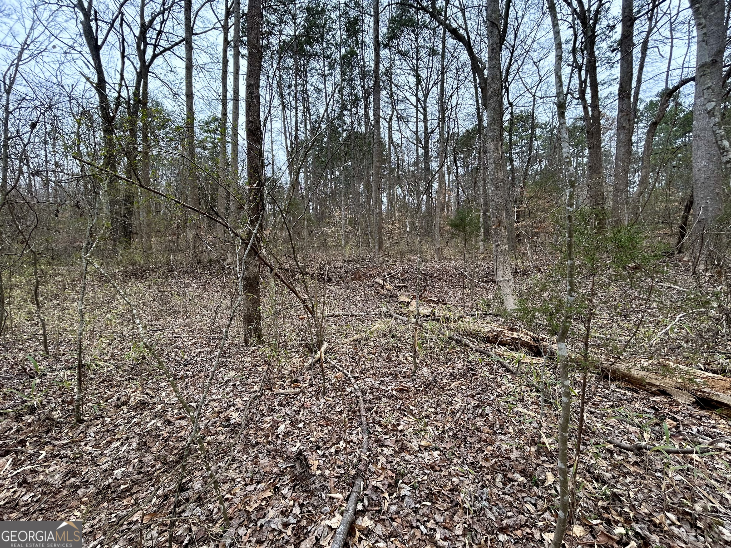 0 Lakeshore Road Martin, GA 30557 - Photo 6 of 12