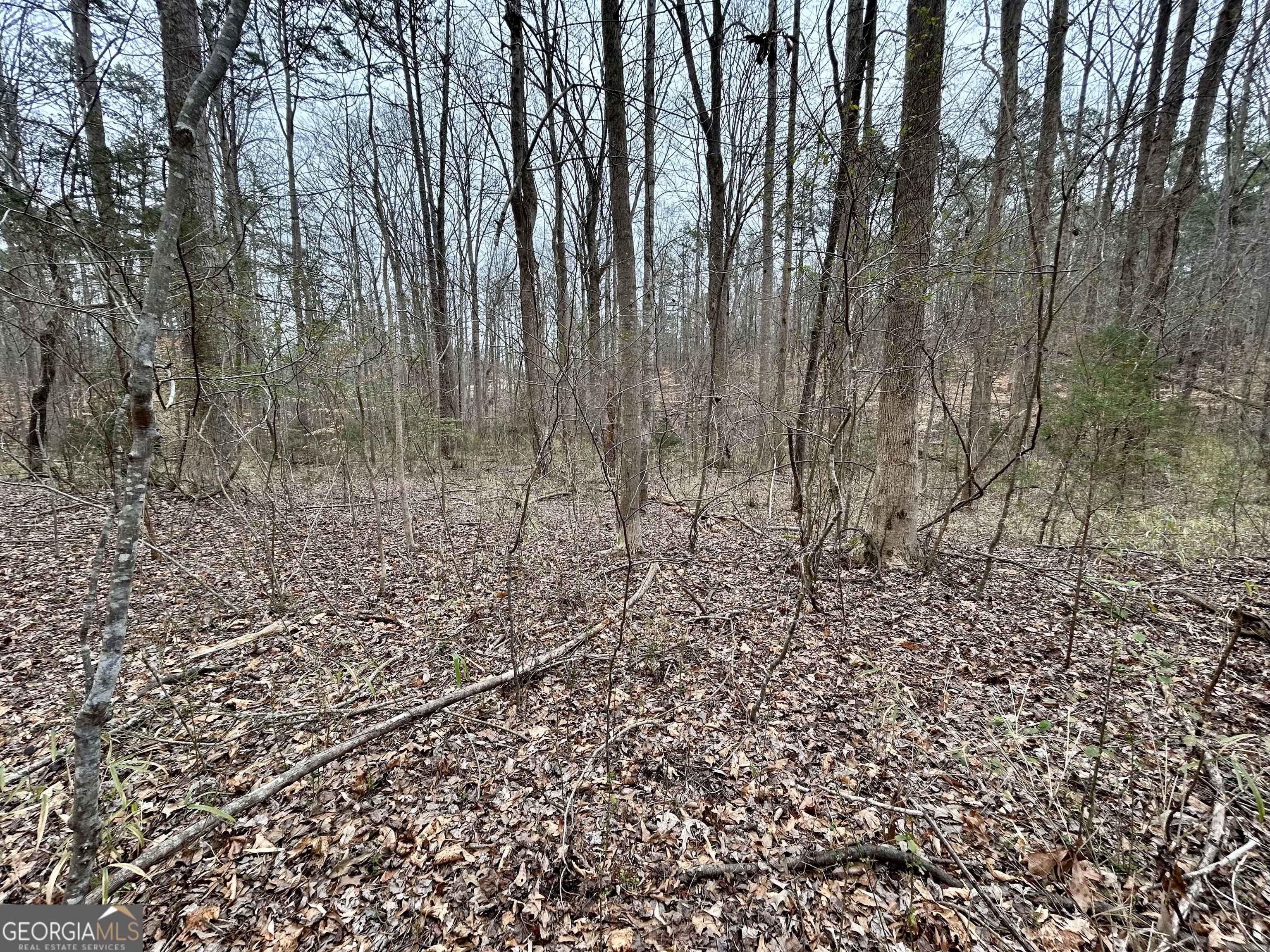 0 Lakeshore Road Martin, GA 30557 - Photo 7 of 12