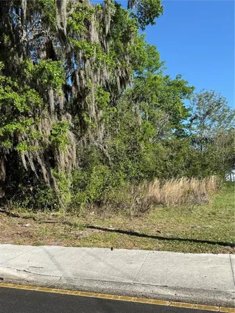 a view of a yard
