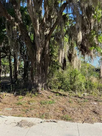 a view of outdoor space and yard