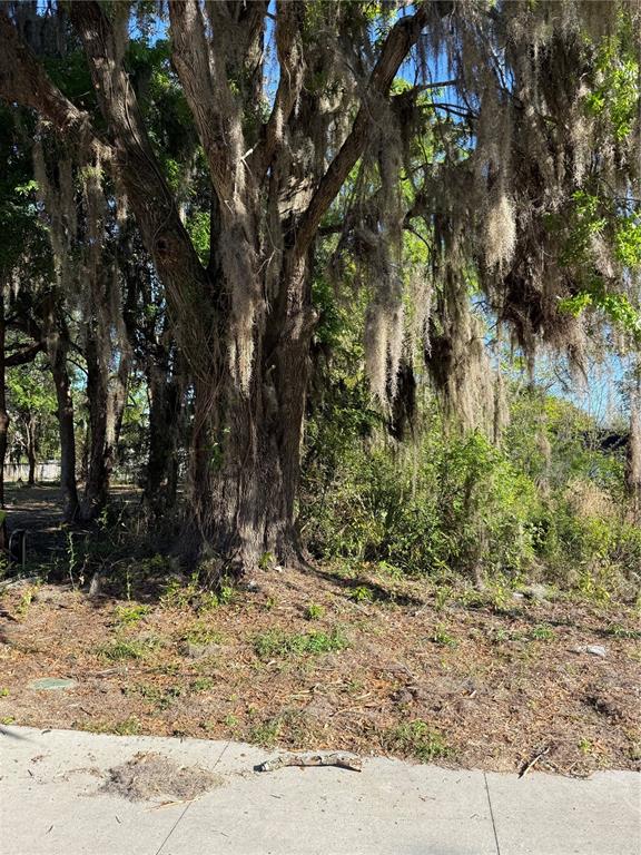 3rd Street Ocala, FL 34471 - Photo 2 of 2 a view of outdoor space and yard