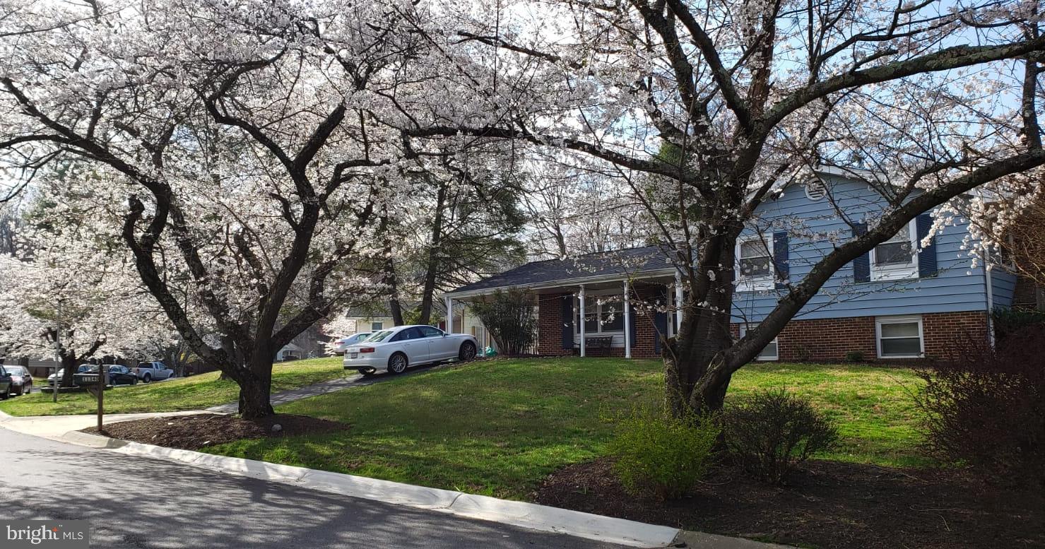 11340 Rambling Road Gaithersburg, MD 20879 - Photo 42 of 42 Spring on Rambling Road