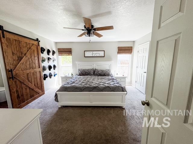 808 O'Leary Way Twin Falls, ID 83301 - Photo 18 of 37 Bedroom featuring a wood-finish barn door, ceiling fan with wood-finish blades, two windows with woven blinds, and a paneled white door