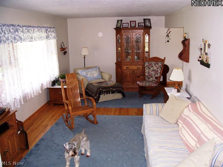 9364 Brakeman Road Chardon, OH 44024 - Photo 3 of 10