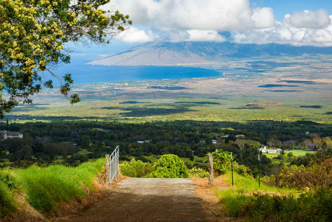 0 Cross Road Kula, HI 96790 - Photo 8 of 30