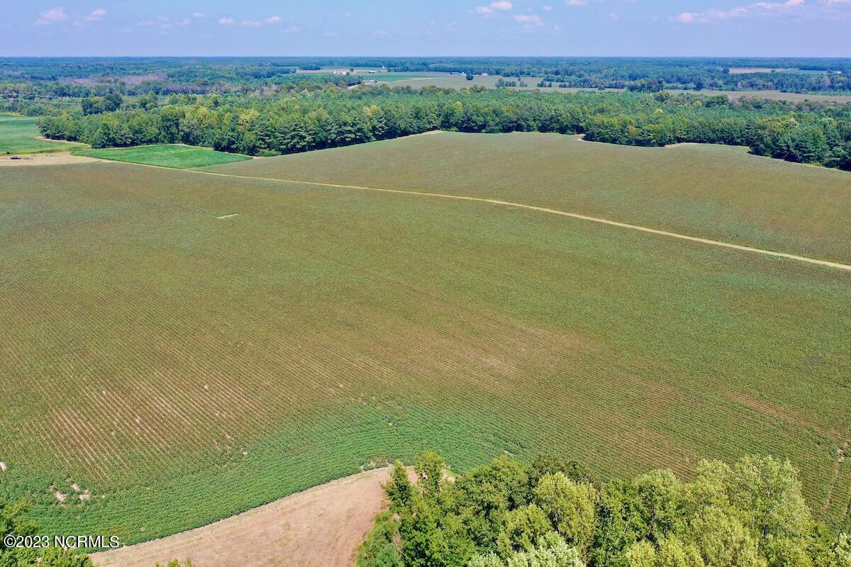 0 Hargraves Road Jackson, NC 27845 - Photo 10 of 50 9