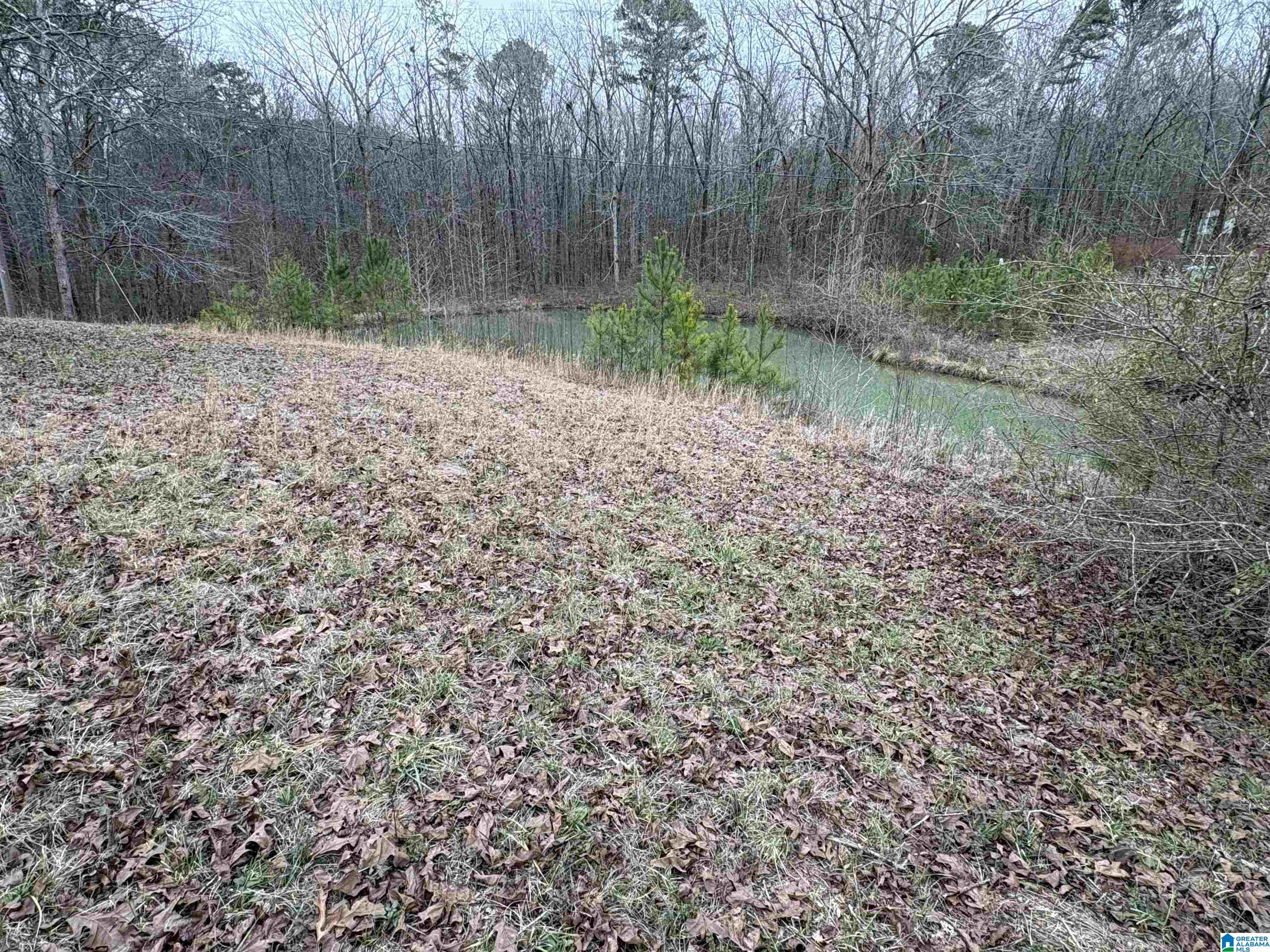 3349 Nail Road, Unit 40 6 ACRES / Warrior, AL 35180 - Photo 12 of 16