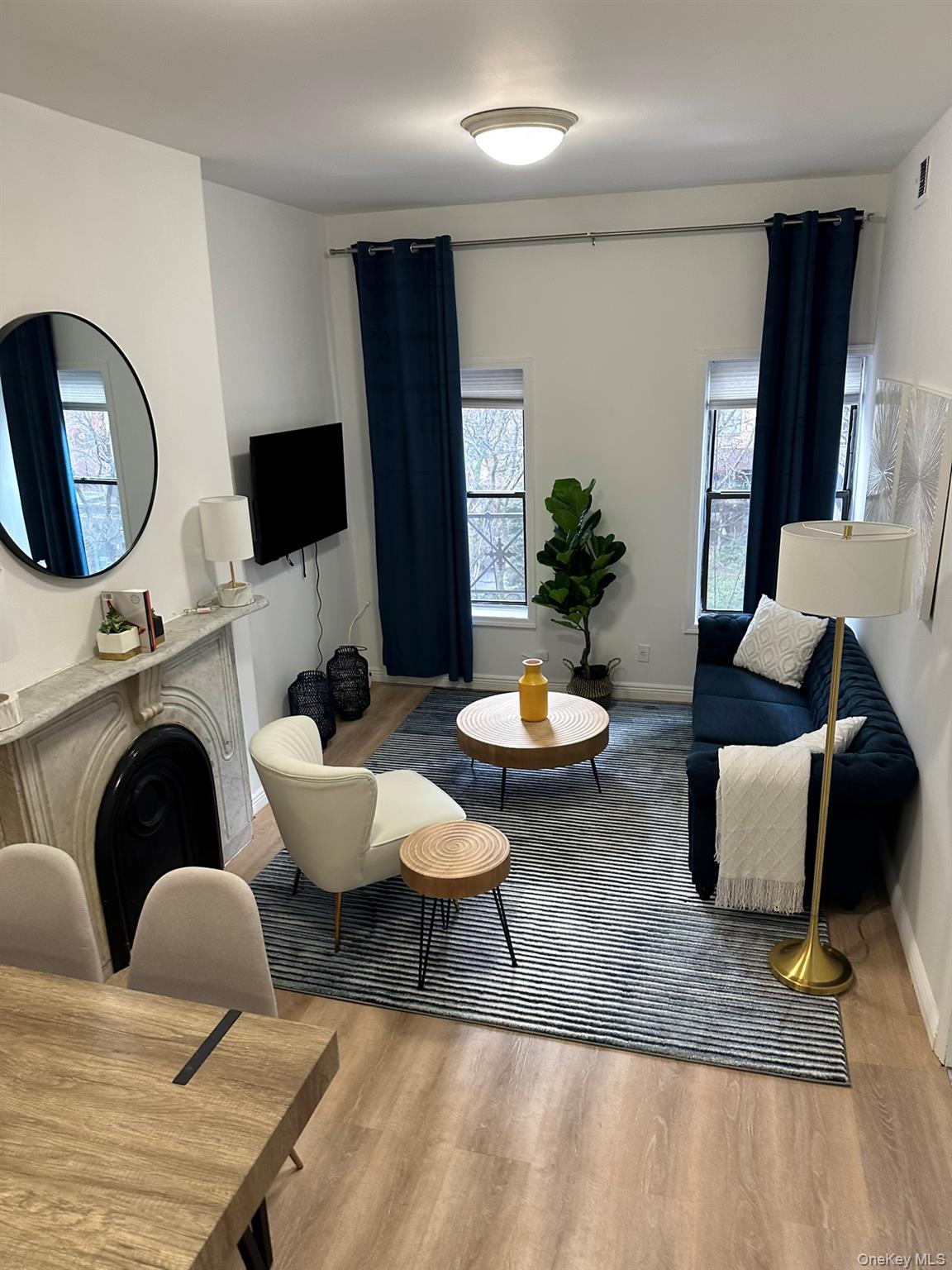 1435 2nd Avenue Manhattan, NY 10021 - Photo 23 of 33 a living room with furniture a fireplace and a flat screen tv