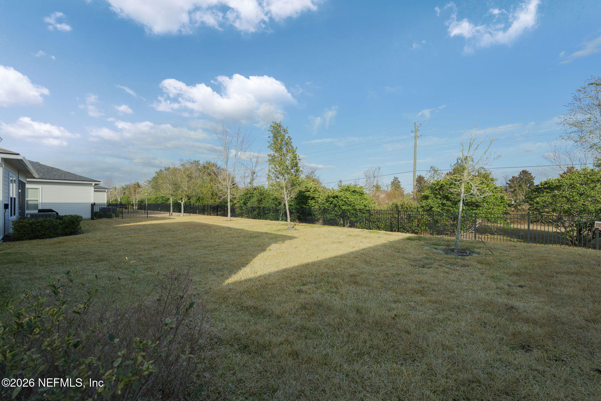 1125 Rustic Mill Drive St. Augustine, FL 32092 - Photo 25 of 60 Back Yard