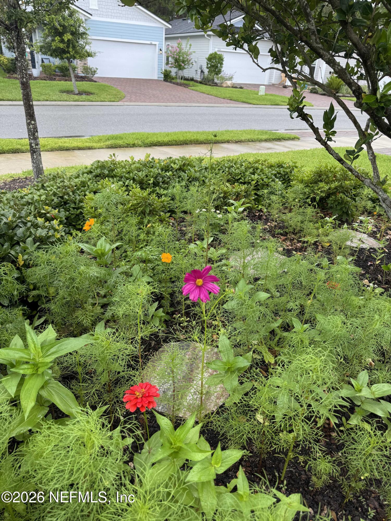 1125 Rustic Mill Drive St. Augustine, FL 32092 - Photo 32 of 60 Front Garden Bed