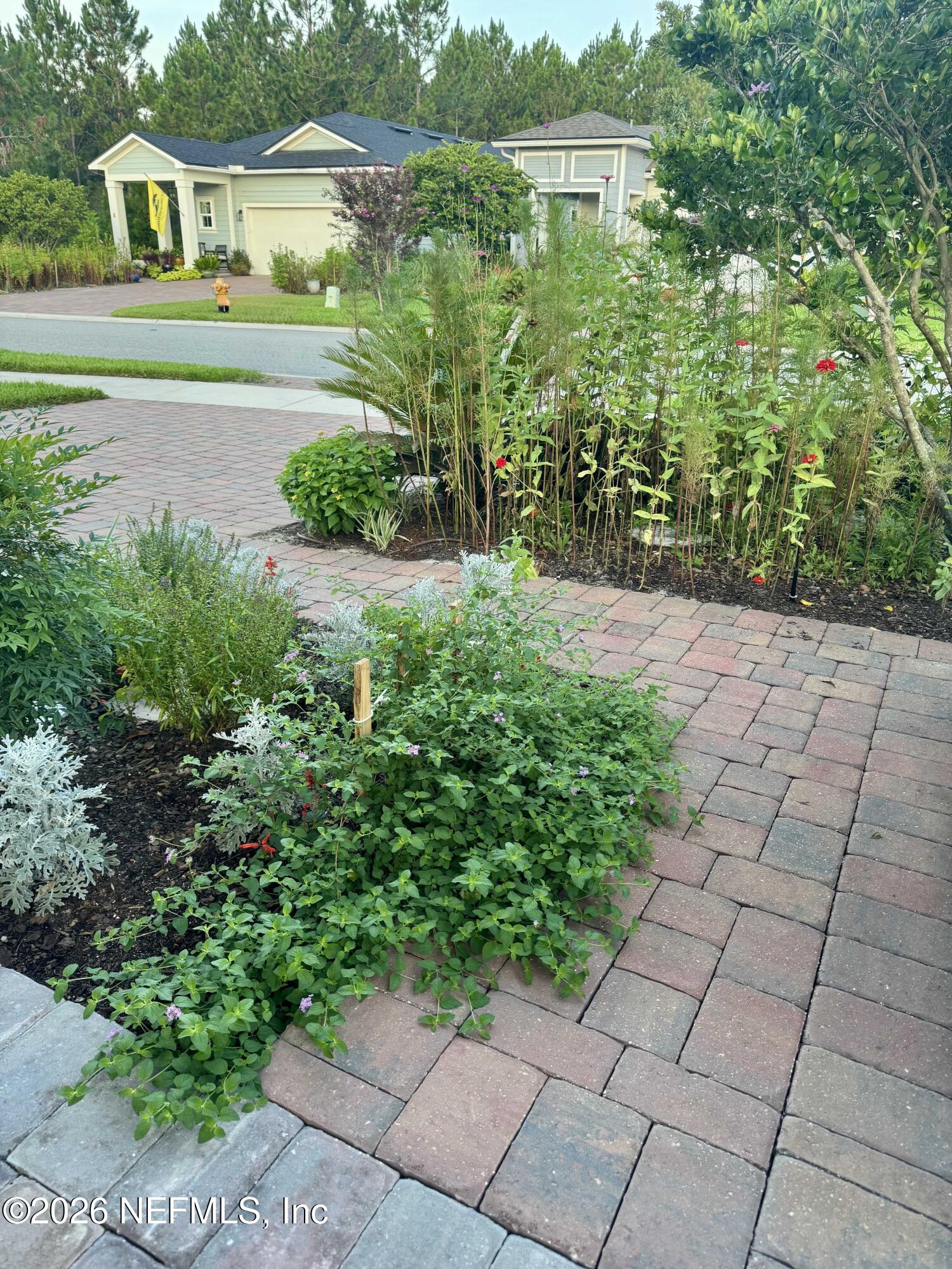 1125 Rustic Mill Drive St. Augustine, FL 32092 - Photo 33 of 60 Front Garden Bed