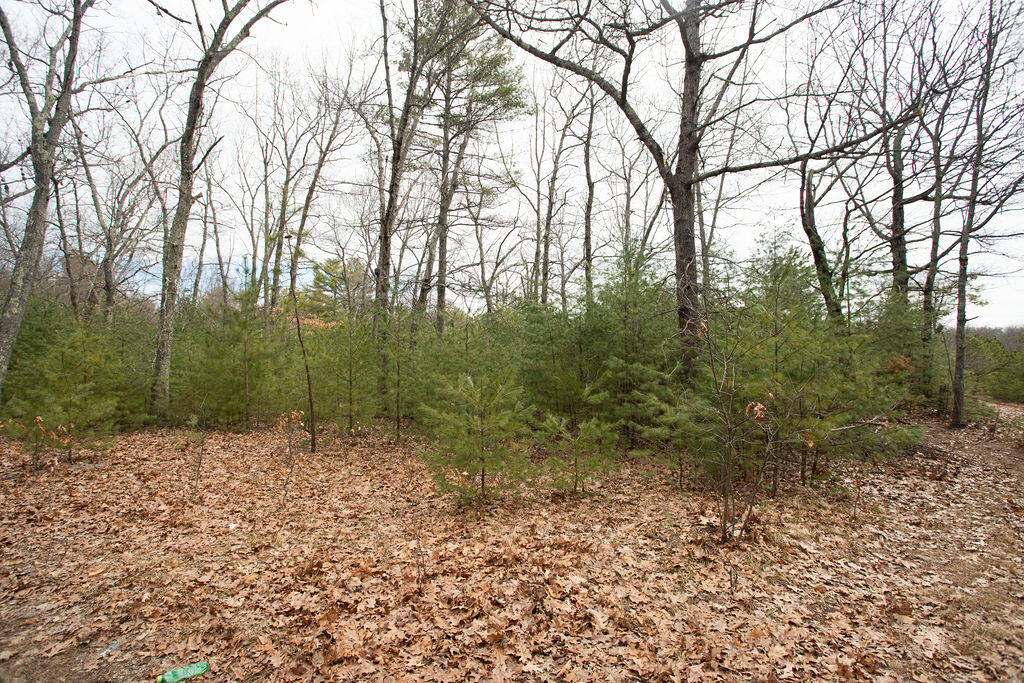 Lot Tbd Sam Allen Road Sanford, ME 04073 - Photo 5 of 5 Sam Allen Road