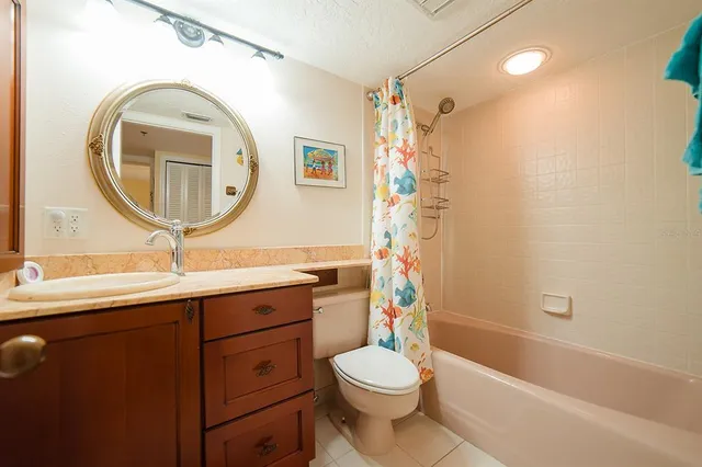 a view of a backyard with potted plants and palm trees