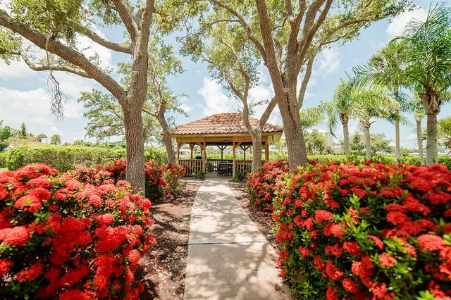 a view of a lake in a backyard