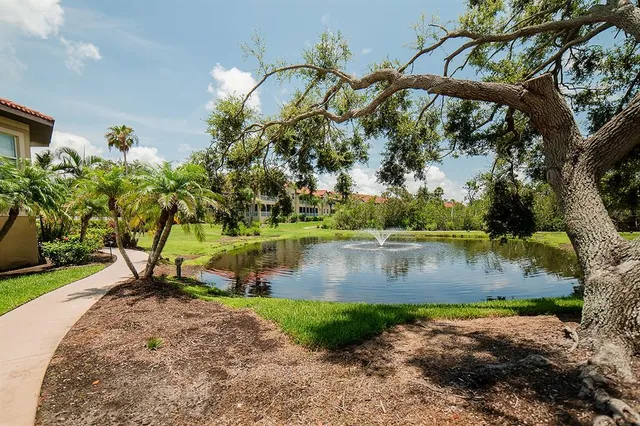 a view of a swimming pool with a yard