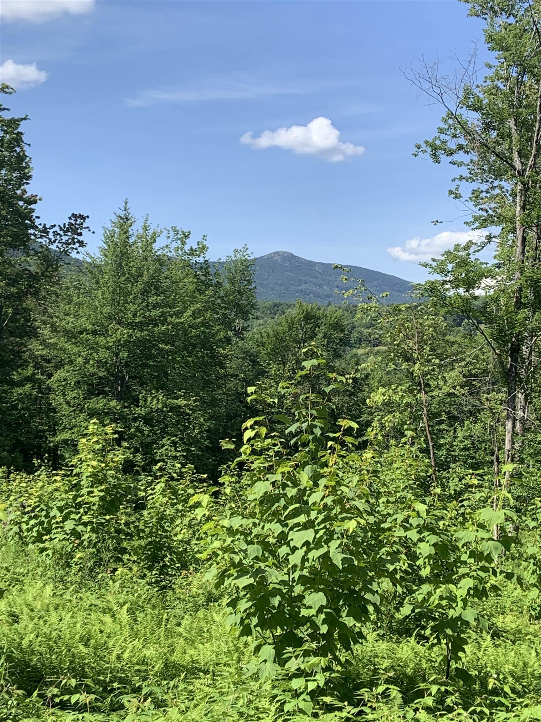 0 Leland Farm Road, Unit D Middlesex, VT 05602 - Photo 2 of 5