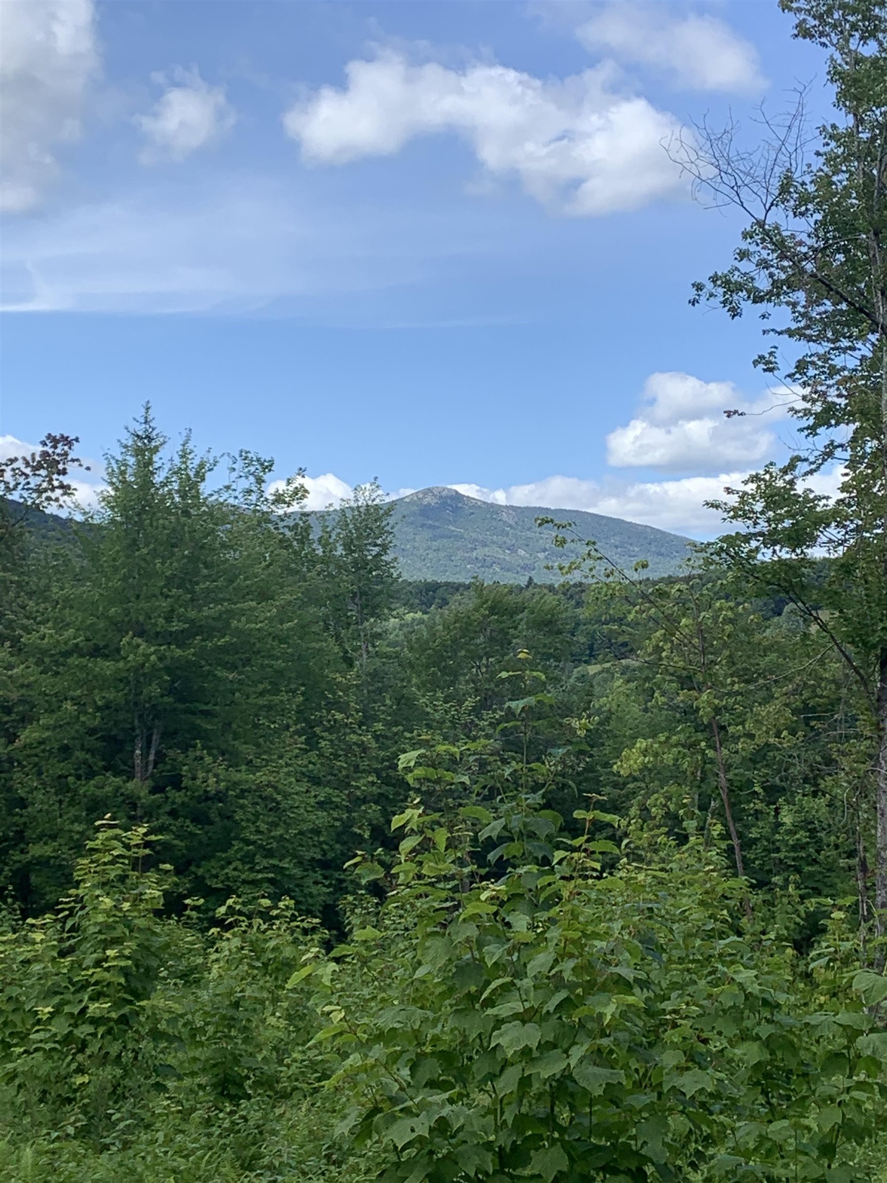 0 Leland Farm Road, Unit D Middlesex, VT 05602 - Photo 3 of 5