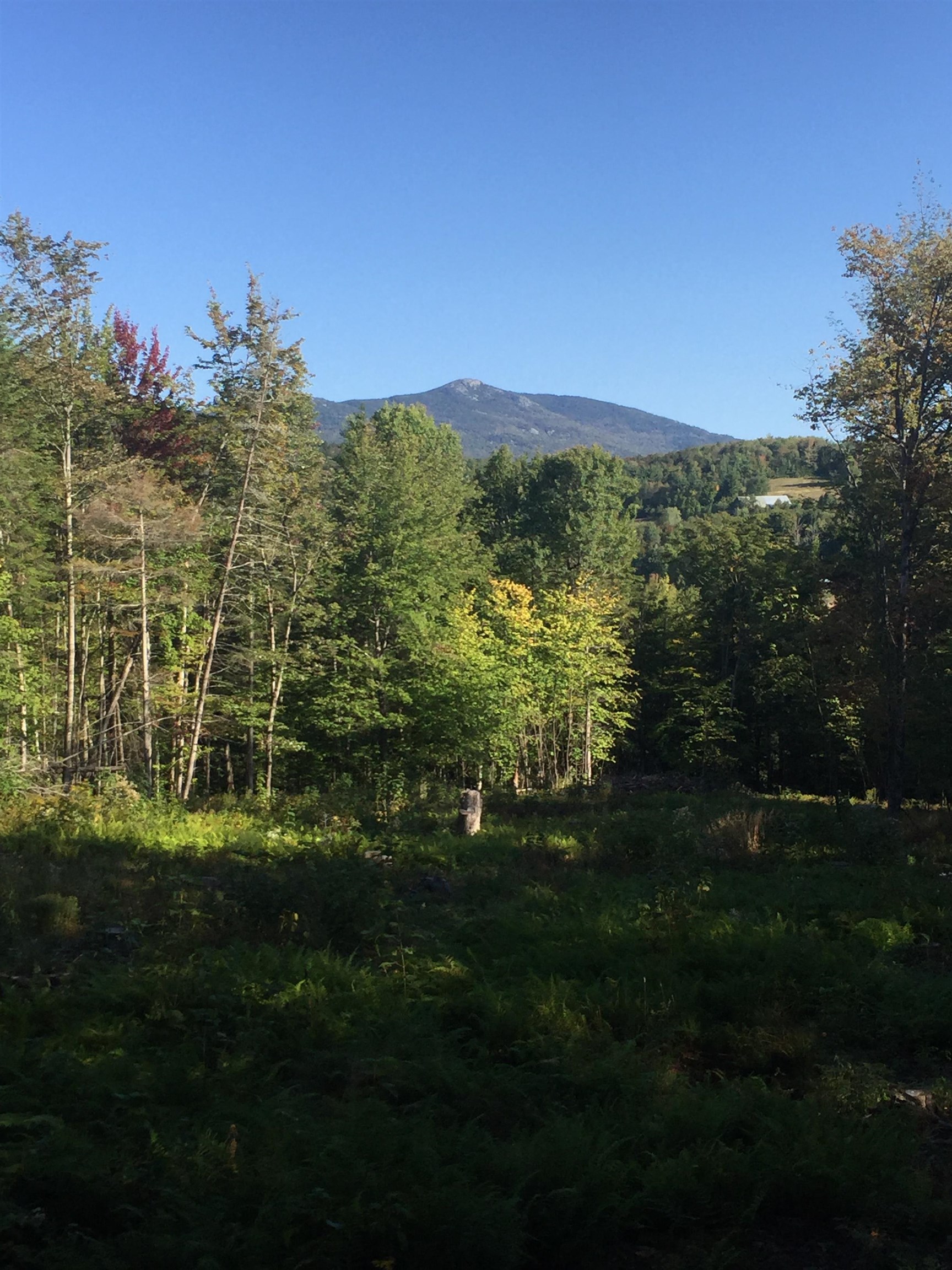 0 Leland Farm Road, Unit D Middlesex, VT 05602 - Photo 4 of 5