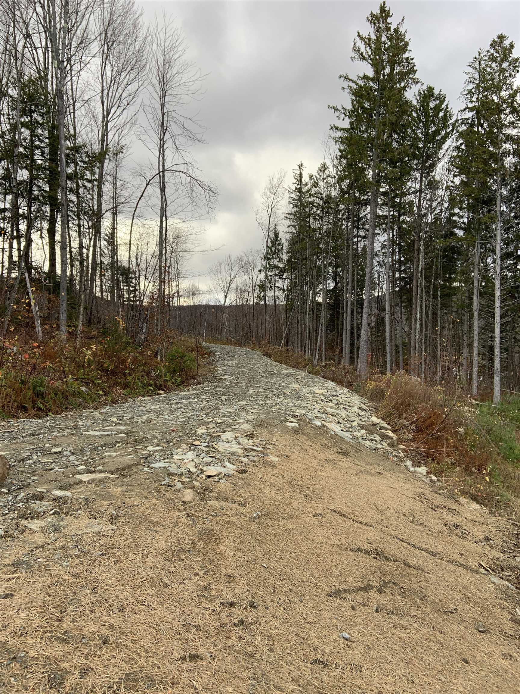 0 Leland Farm Road, Unit D Middlesex, VT 05602 - Photo 5 of 5
