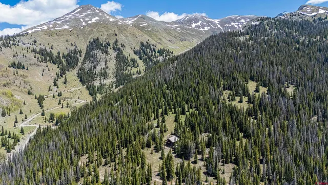 a view of a houses of a city with lush green forest
