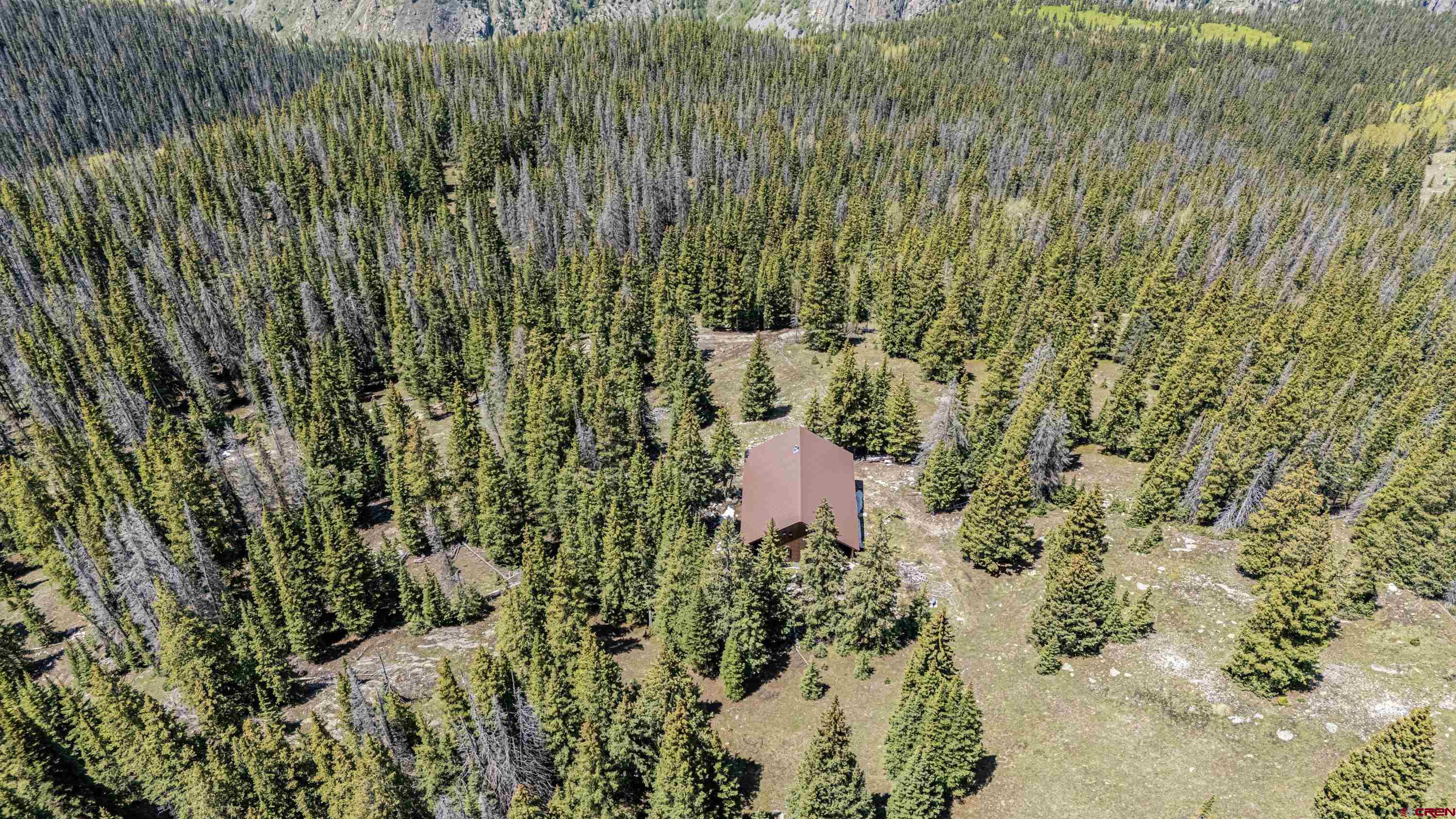 3300 County Road Silverton, CO 81433 - Photo 26 of 30 a view of a back yard