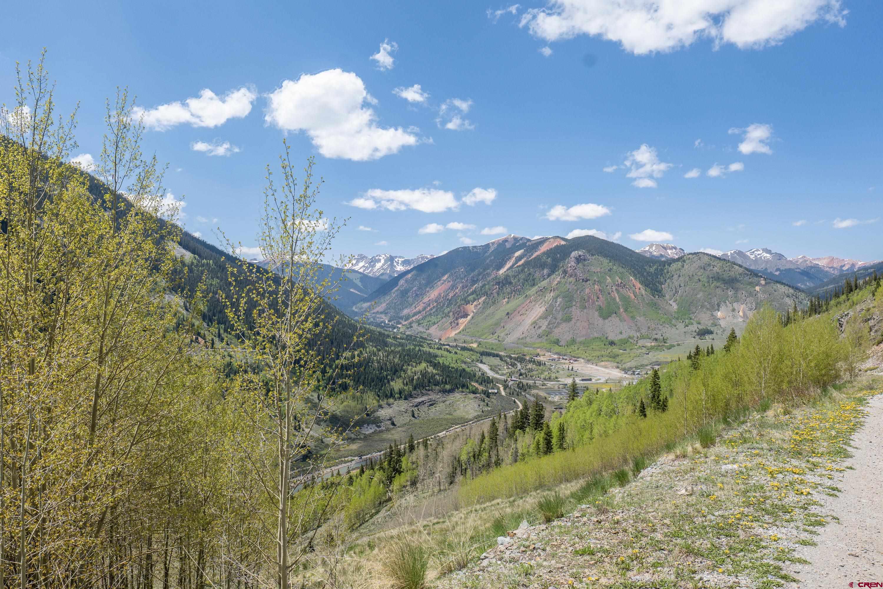 3300 County Road Silverton, CO 81433 - Photo 30 of 30 a view of a swimming pool with a yard