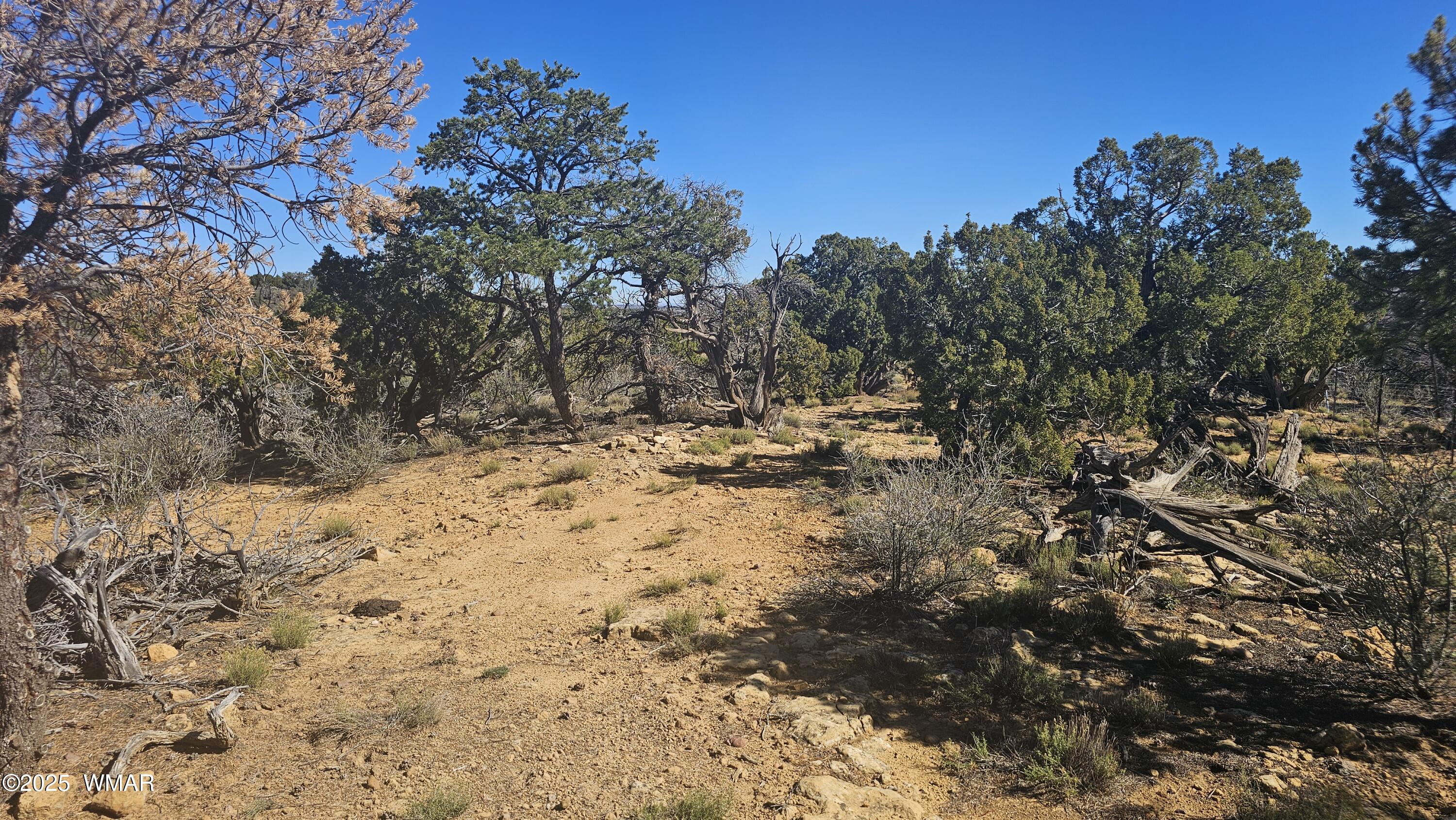 4 County Road Concho, AZ 85924 - Photo 25 of 28