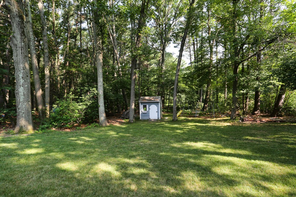 2 Woodside Road Framingham, MA 01701 - Photo 27 of 29 a tall tree in middle of green field
