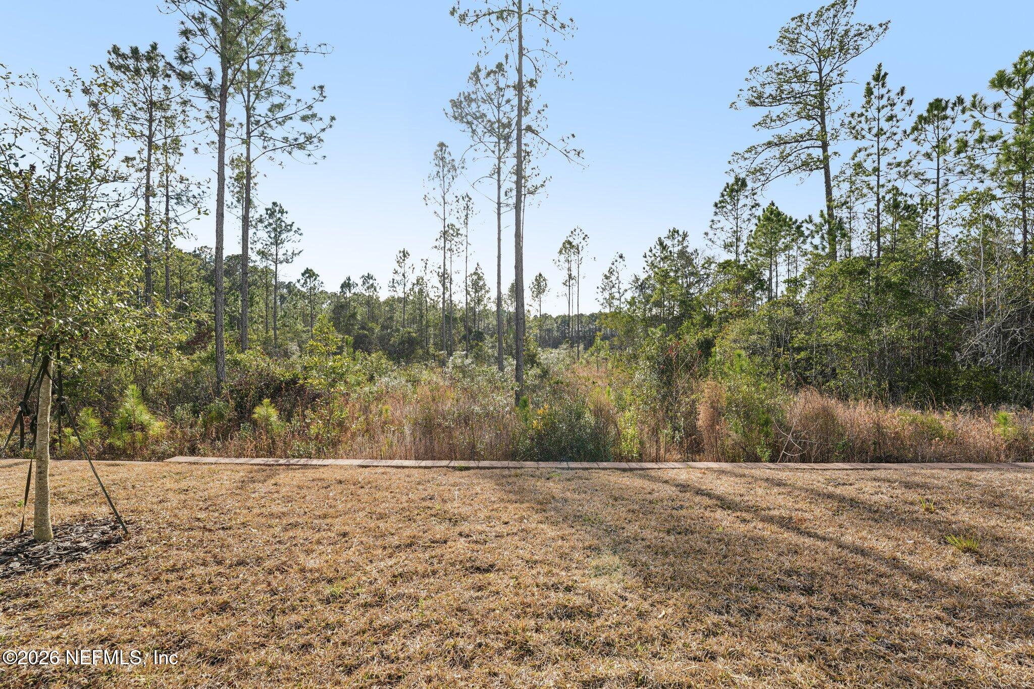 75682 Pondside Lane Yulee, FL 32097 - Photo 35 of 35 a view of dirt yard