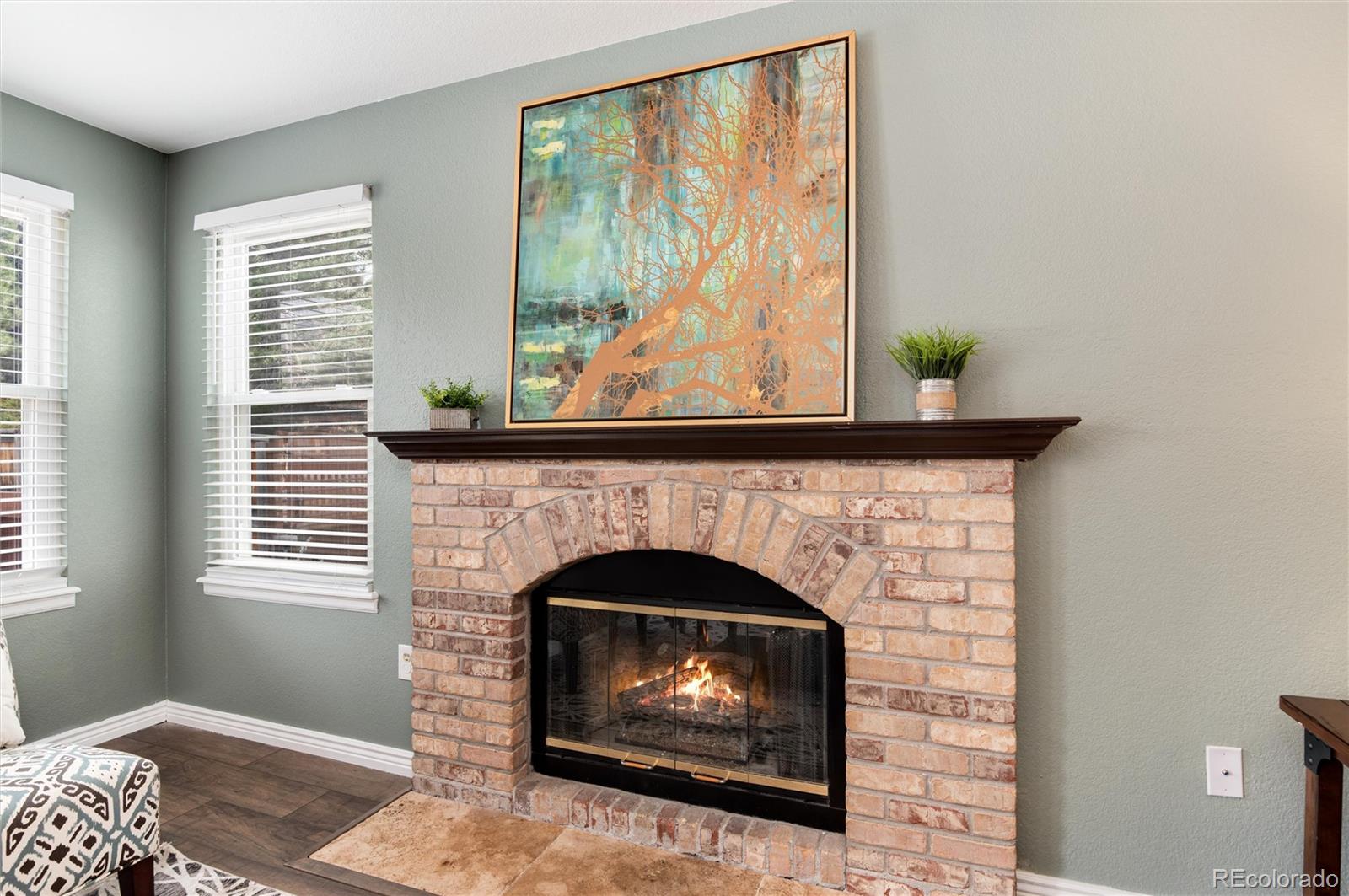 9866 Spring Hill Lane Highlands Ranch, CO 80129 - Photo 19 of 49 a living room with a fireplace in it