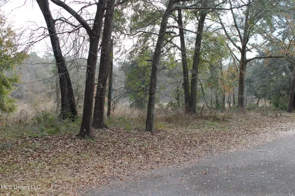 $60,000 | 1500 Barracuda Drive, Gautier, MS 39553