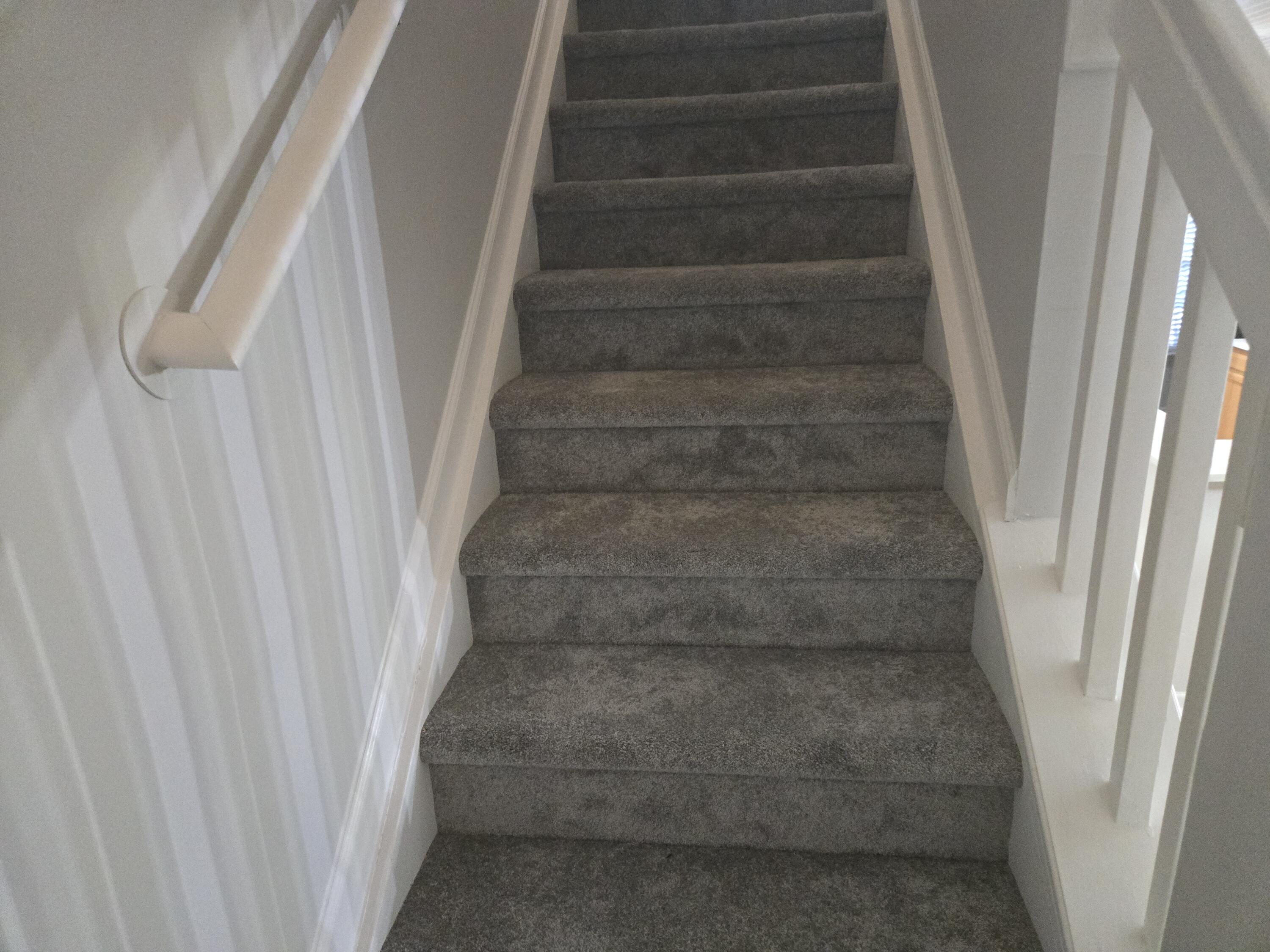 122 Greyson Circle Goose Creek, SC 29445 - Photo 36 of 41 New carpet on the steps