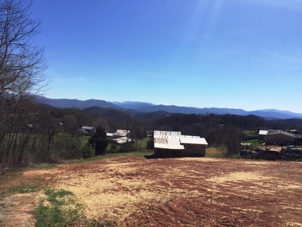 Tbd Lewis Blevins Road Elizabethton, TN 37643 - Photo 4 of 5 Photo 4