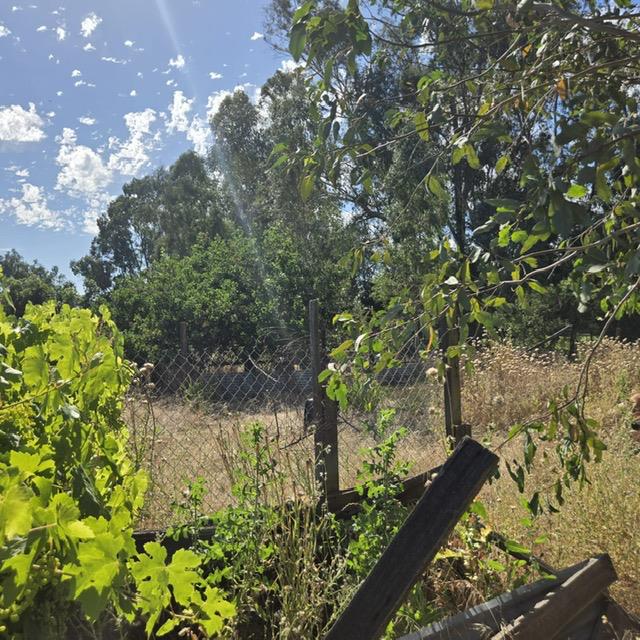 8830 Bradshaw Road Elk Grove, CA 95624 - Photo 9 of 33