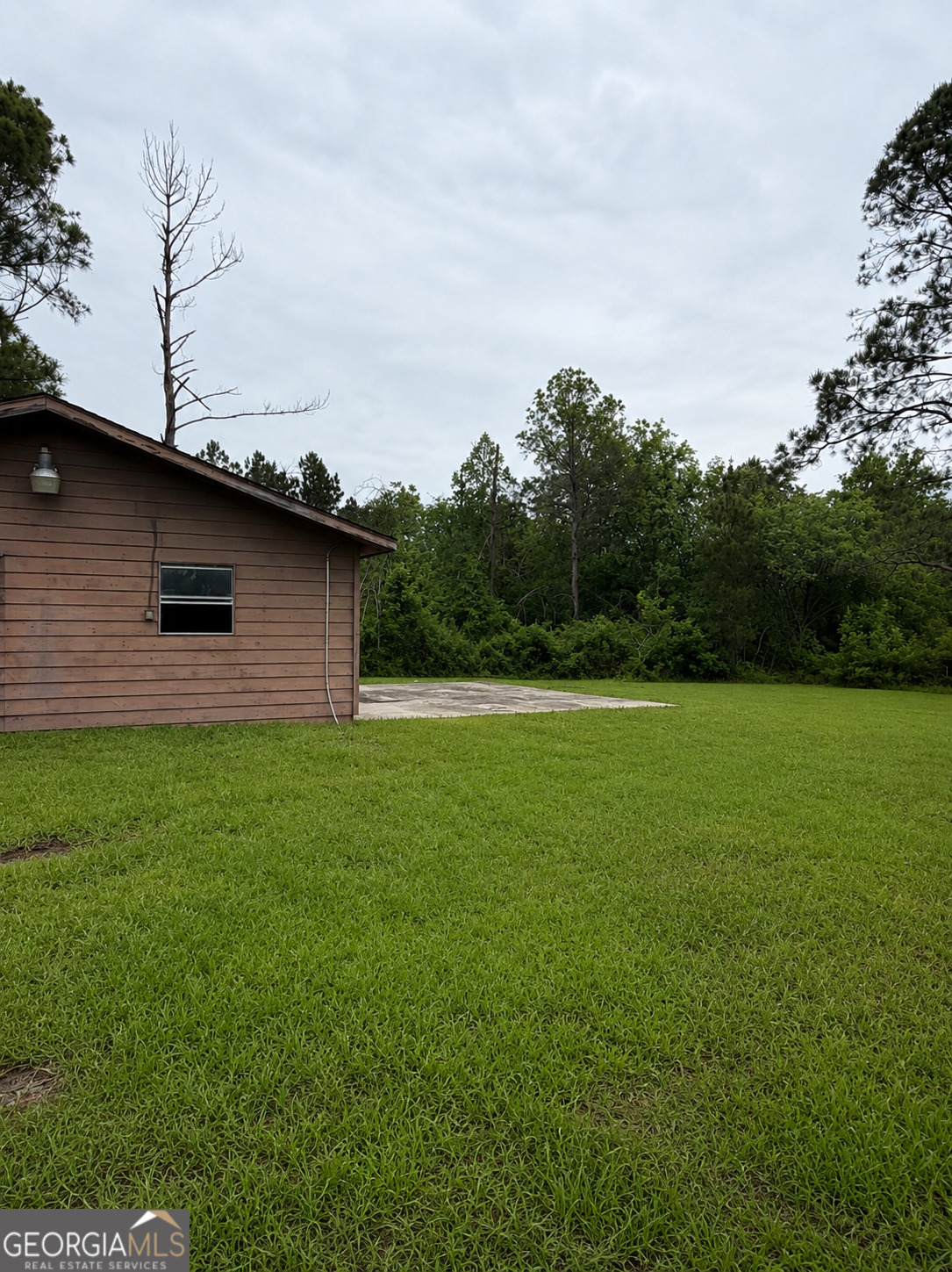 1087 Green Morgan School Road Clyo, GA 31303 - Photo 22 of 24