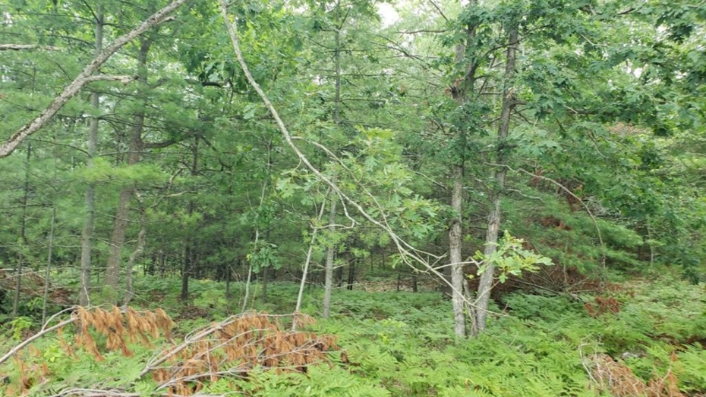 East 96th Street Reed City, MI 49677 - Photo 16 of 17 20190729_133623