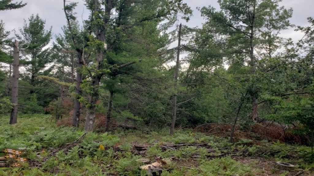 East 96th Street Reed City, MI 49677 - Photo 17 of 17 20190729_133626