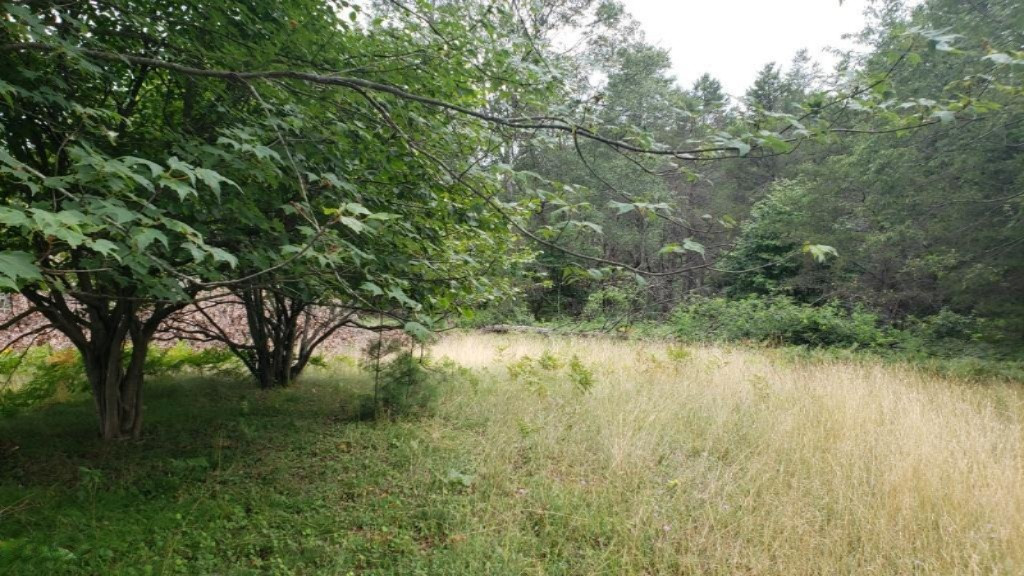 East 96th Street Reed City, MI 49677 - Photo 9 of 17 20190729_132953