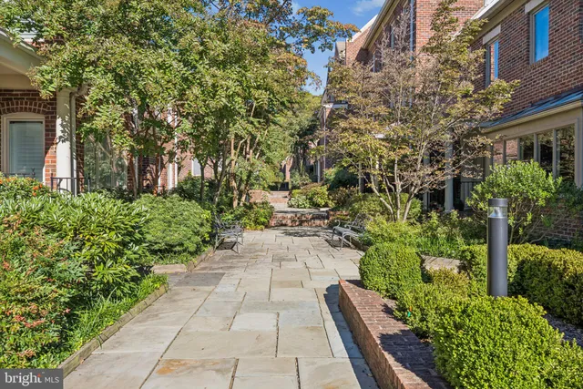 a view of yard with patio