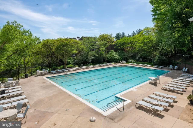 a view of a backyard with lawn chairs plants and large tree