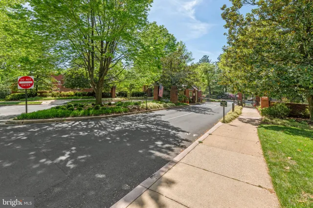 a park view with large trees