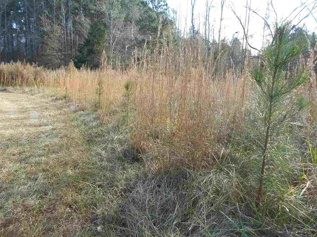 40 Dorman Road Vaiden, MS 39176 - Photo 13 of 50 Photo 13