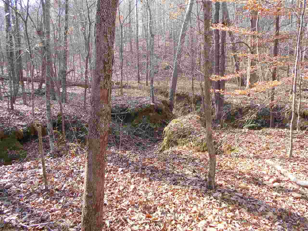 40 Dorman Road Vaiden, MS 39176 - Photo 20 of 50 Photo 20
