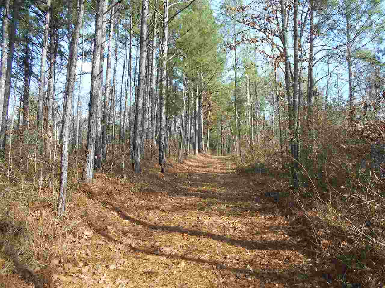 40 Dorman Road Vaiden, MS 39176 - Photo 24 of 50 Photo 24