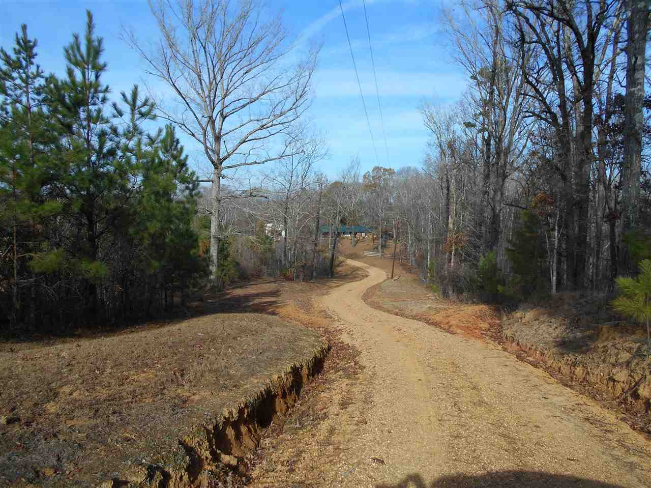 40 Dorman Road Vaiden, MS 39176 - Photo 3 of 50 Photo 3