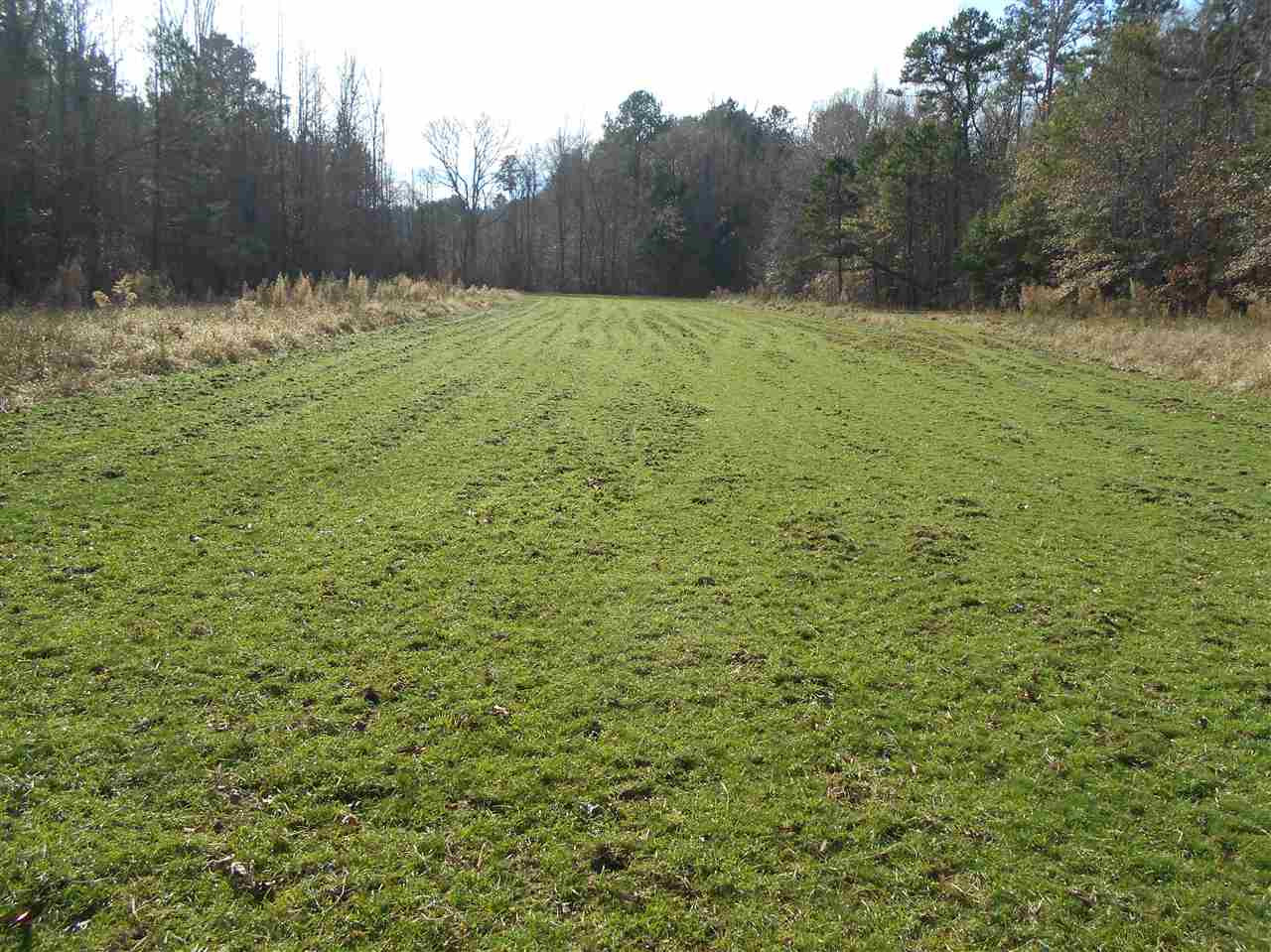 40 Dorman Road Vaiden, MS 39176 - Photo 7 of 50 Photo 7