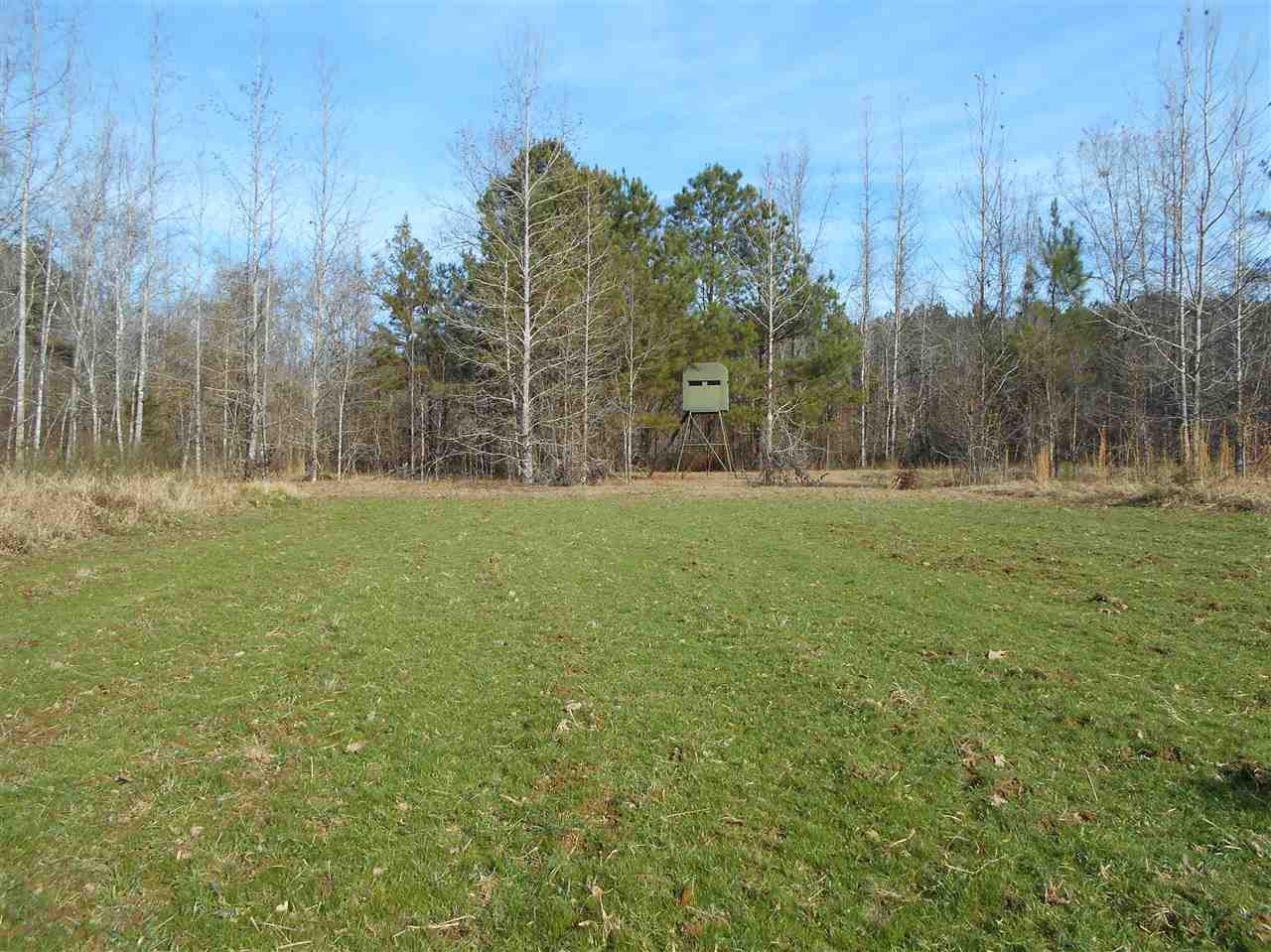 40 Dorman Road Vaiden, MS 39176 - Photo 8 of 50 Photo 8